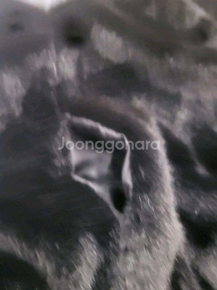 인조밍크 쪼끼--4