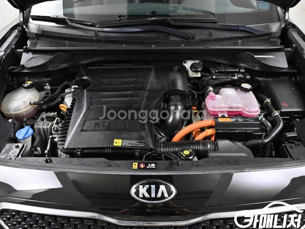 [기아]니로 1.6 하이브리드 노블레스 #앱특가--5