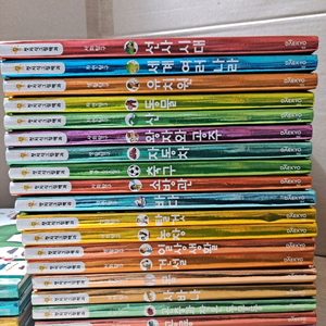 대교 첫지식 그림백과사전 택포