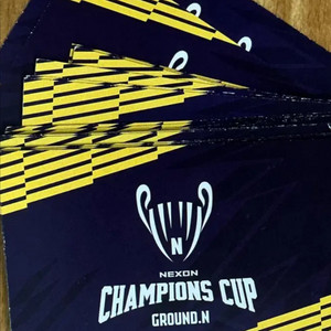 넥슨 챔피언스컵 넥슨캐시