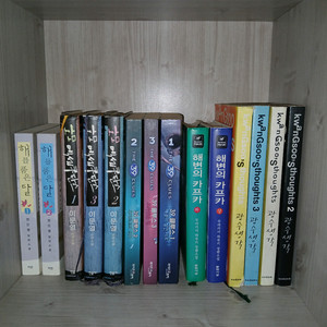 이문열 호모에세쿠탄스 광수생각 해를품은달 해변의카프카 39클루스