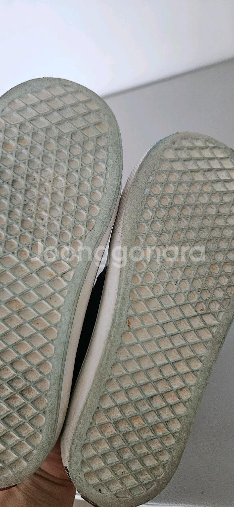 키즈반스 190운동화--4