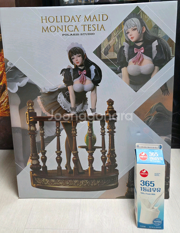 폴라리스 스튜디오 메이드녀 모니카--2
