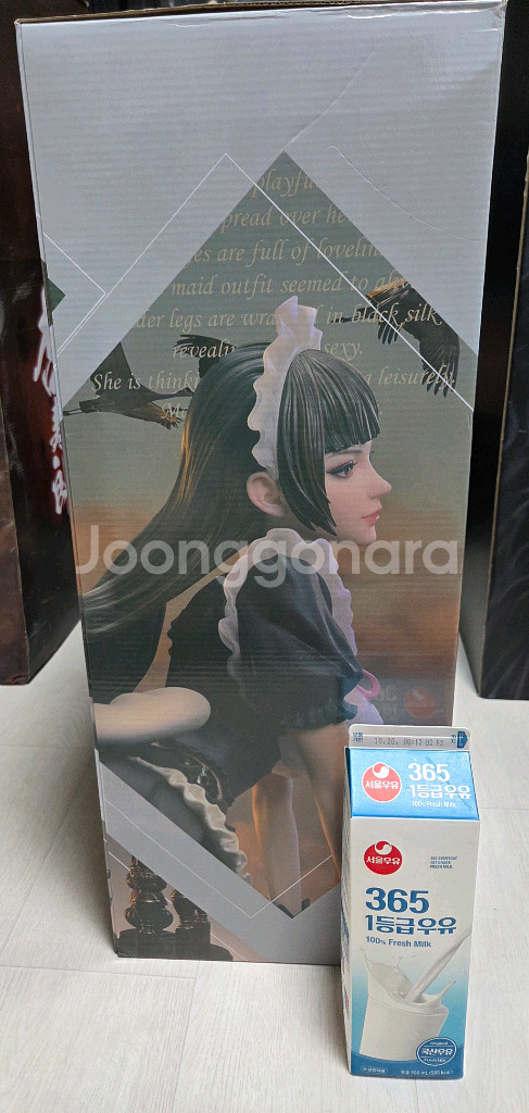 폴라리스 스튜디오 메이드녀 모니카--3