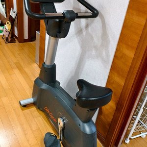 라이프 피트니스 입식 사이클 (실내자전거)