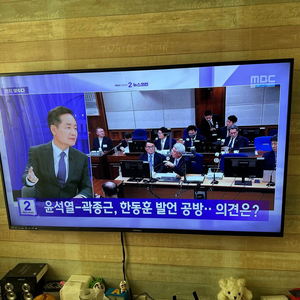 디엘티 모넥스 65인치 UHD