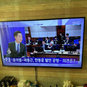 디엘티 모넥스 65인치 UHD