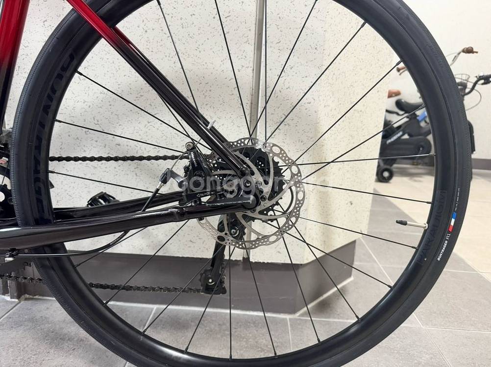 급처)25년형 신형 트랙 도마니 AL 4세대 디스크 모--3