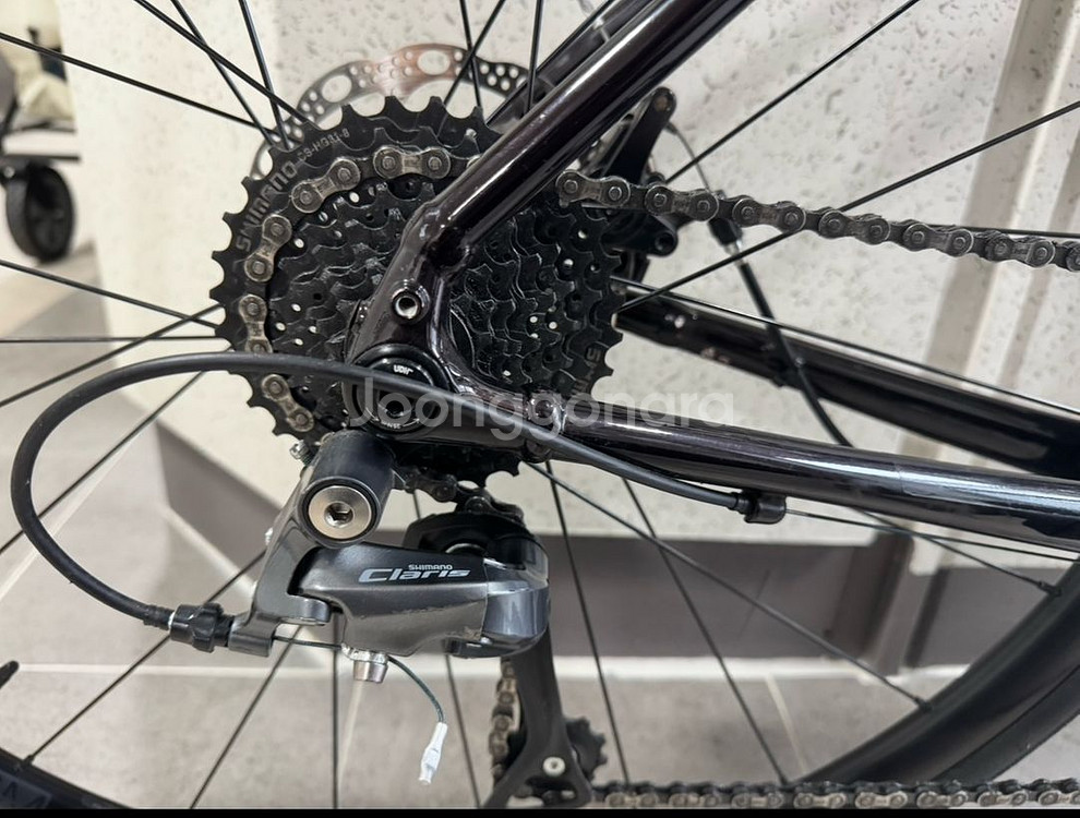 급처)25년형 신형 트랙 도마니 AL 4세대 디스크 모--6