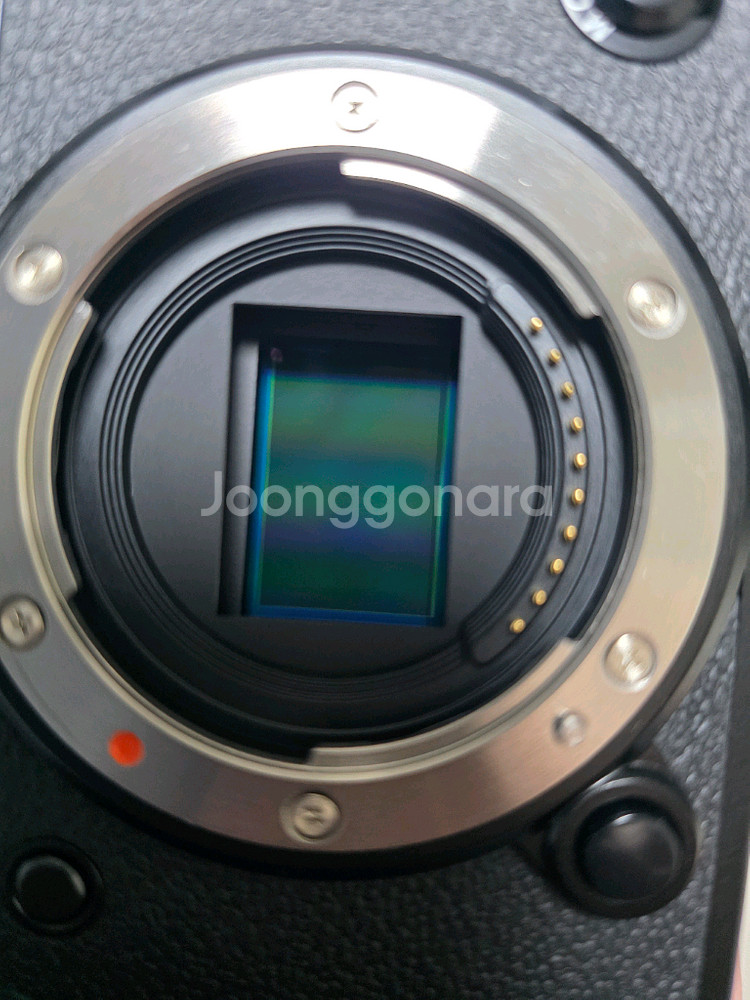 후지필름 X-T5--6