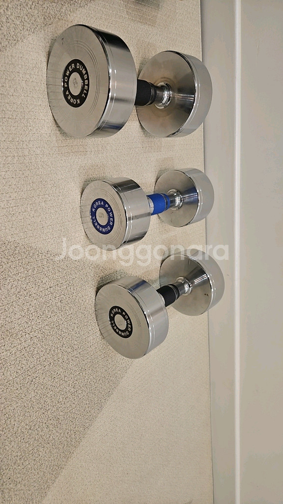 고밀도 덤밸 8키로2개,6키로1개--0