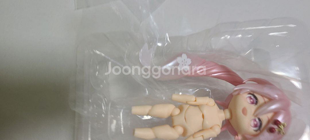 사쿠라 미쿠 하네츠와 꽃놀이 코디 넨도로이드돌--1