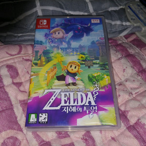 닌텐도 스위치 애니메이션 버전