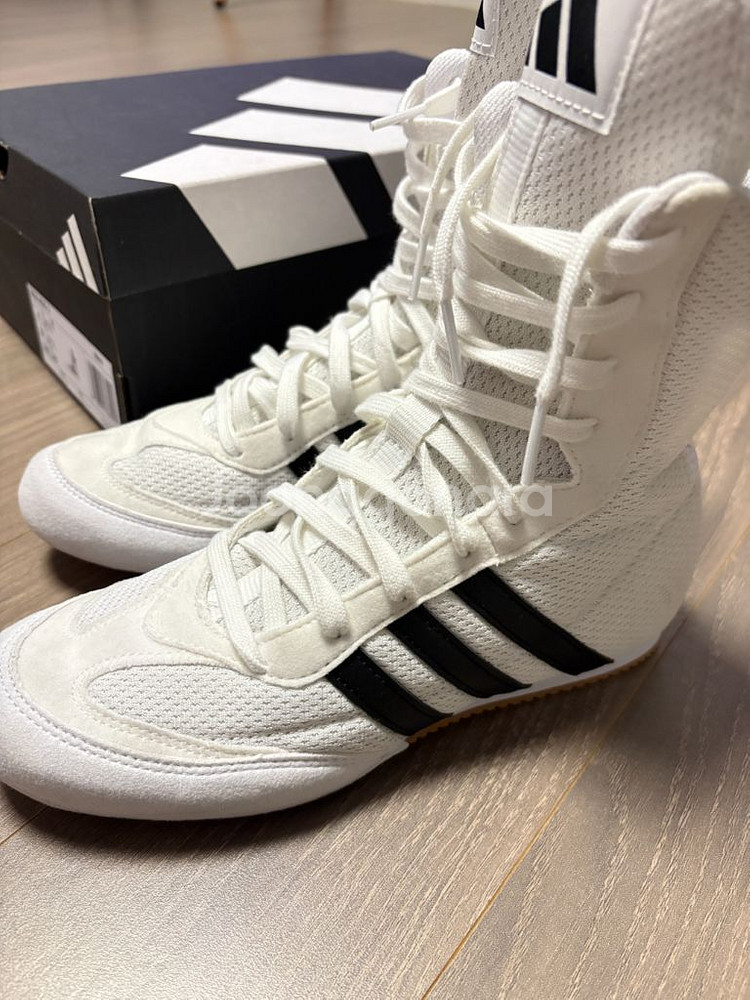 아디다스 여성용 복스 호그 2 화이트 220mm--2