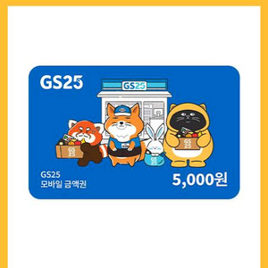 GS25 5천원