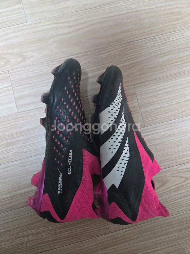 아디다스 프레데터 애큐러시.3--3