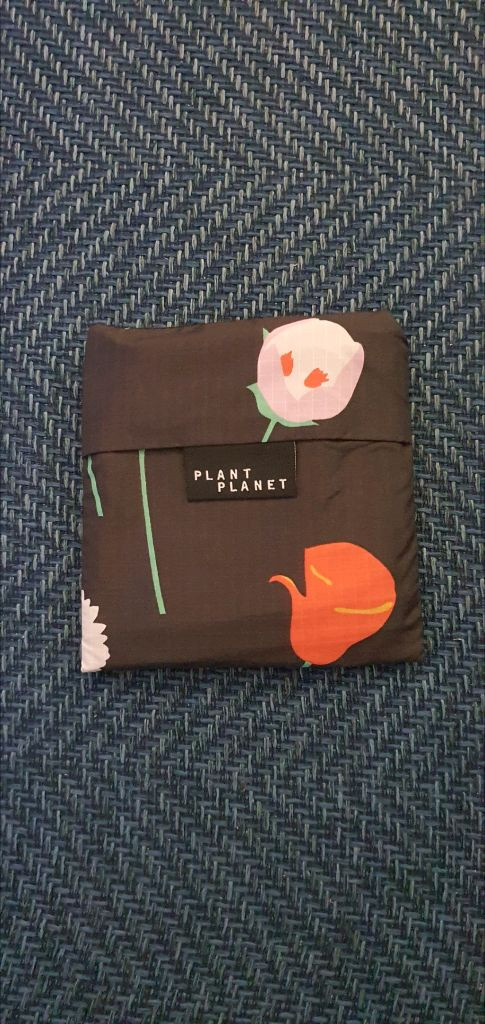 Baggu 바쿠백 스탠다드--3