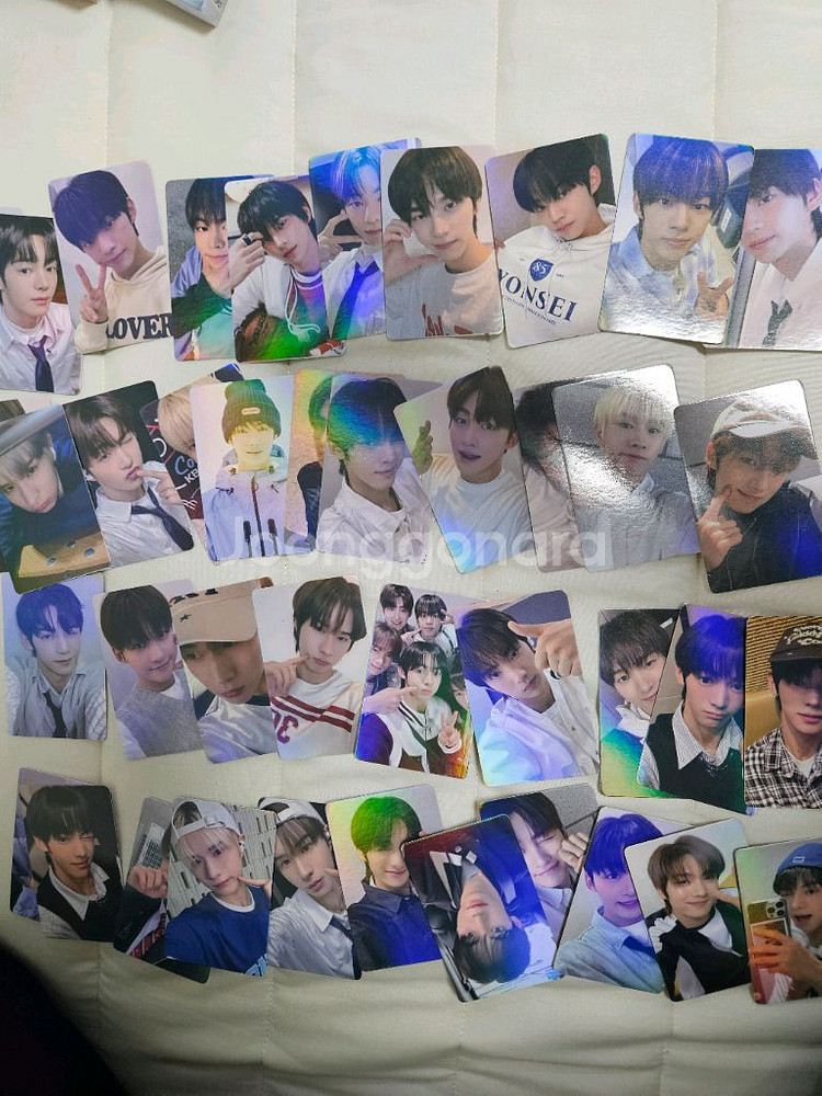 투어스 포카 40장--0