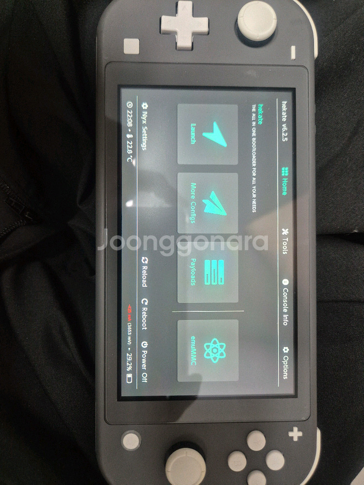 닌텐도스위치라이트ㅋㅍ--0