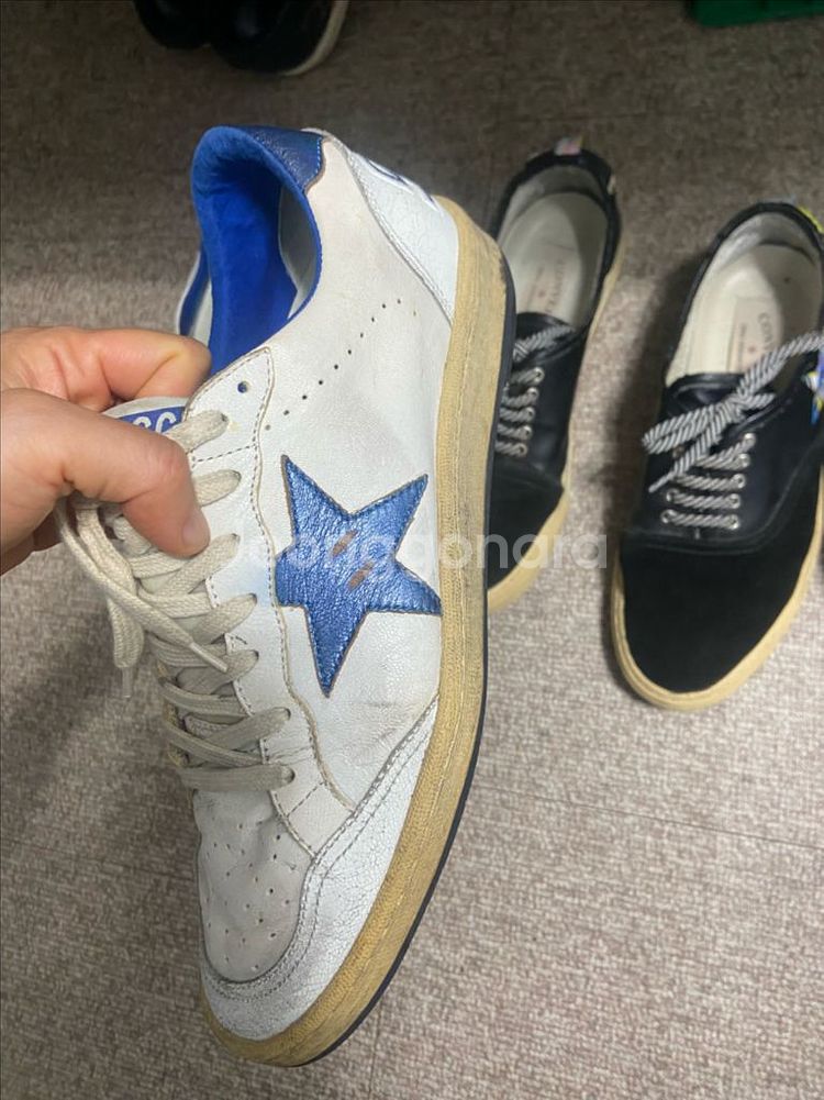 골든구스3종 265 남자--6