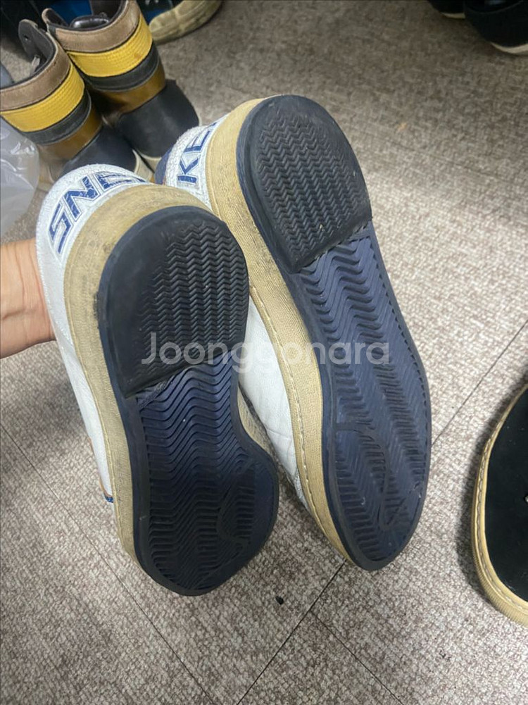 골든구스3종 265 남자--5