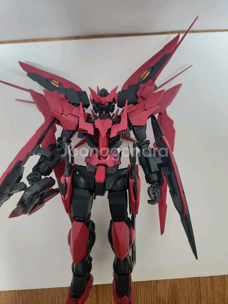 MG 엑시아 다크 매터 건담 가조립--2