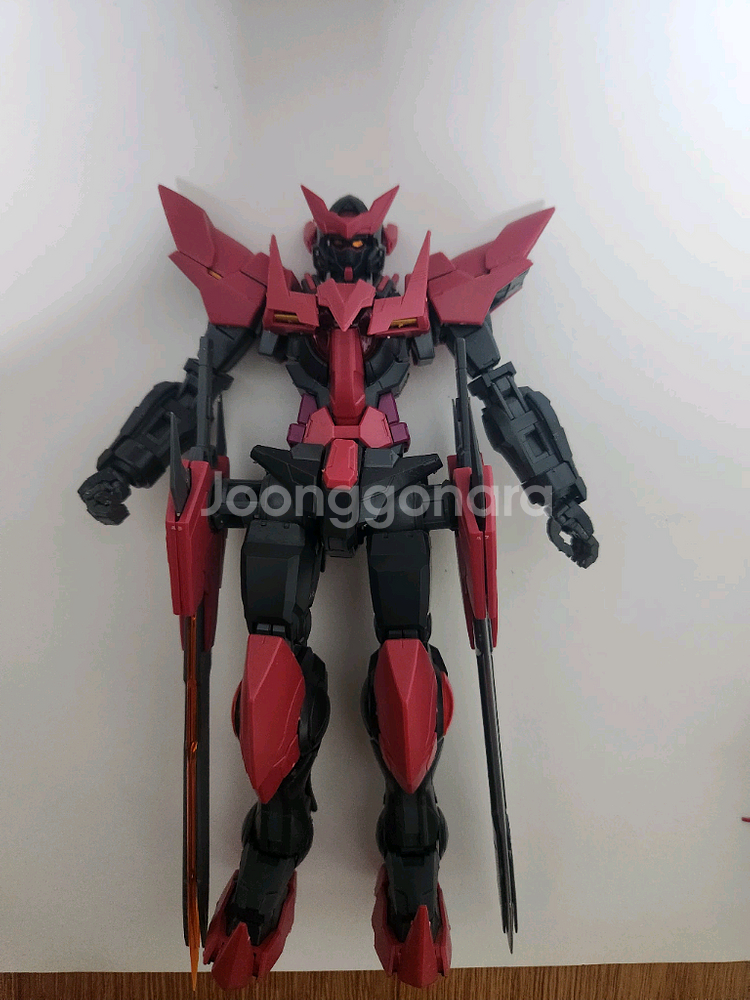 MG 엑시아 다크 매터 건담 가조립--4