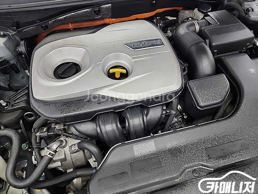 [현대]LF 쏘나타 하이브리드 2.0 프리미엄 기본형 #앱특가--4