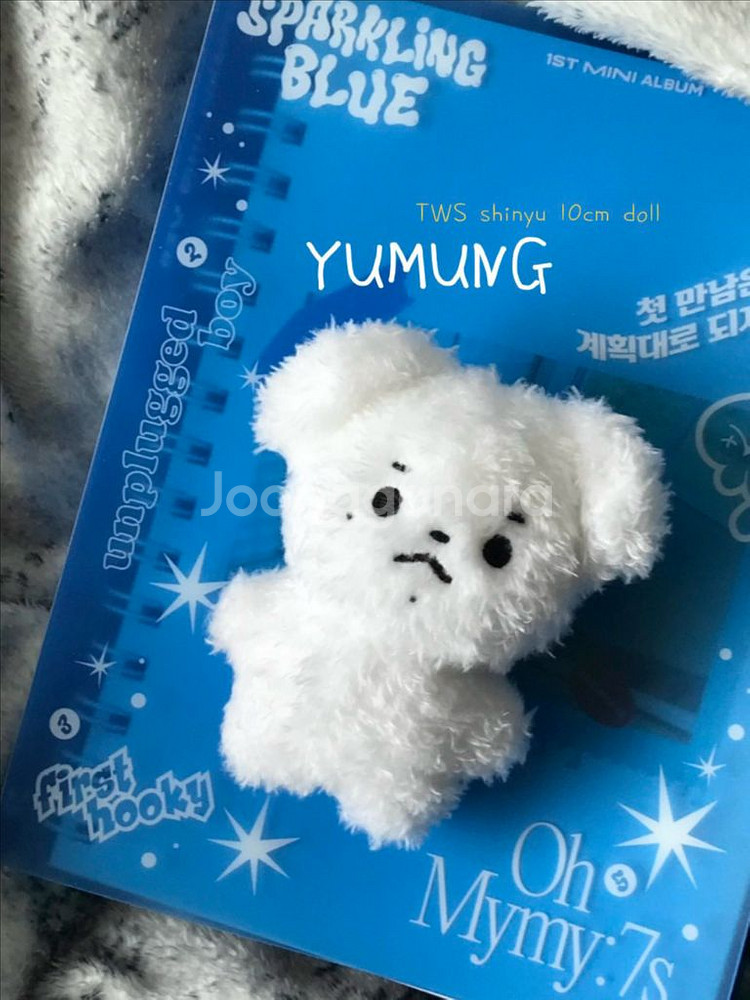 투어스 신유 10cm 인형 유뭉 양도--0