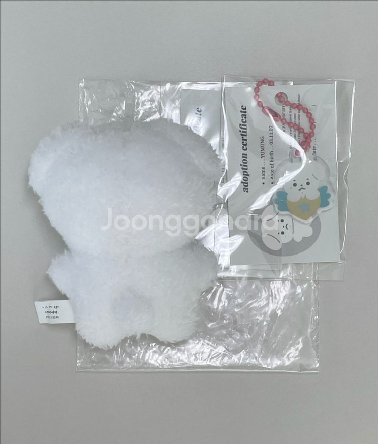 투어스 신유 10cm 인형 유뭉 양도--2