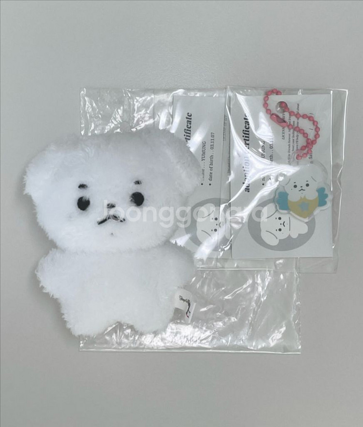 투어스 신유 10cm 인형 유뭉 양도--1