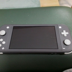 닌텐도 스위치 라이트