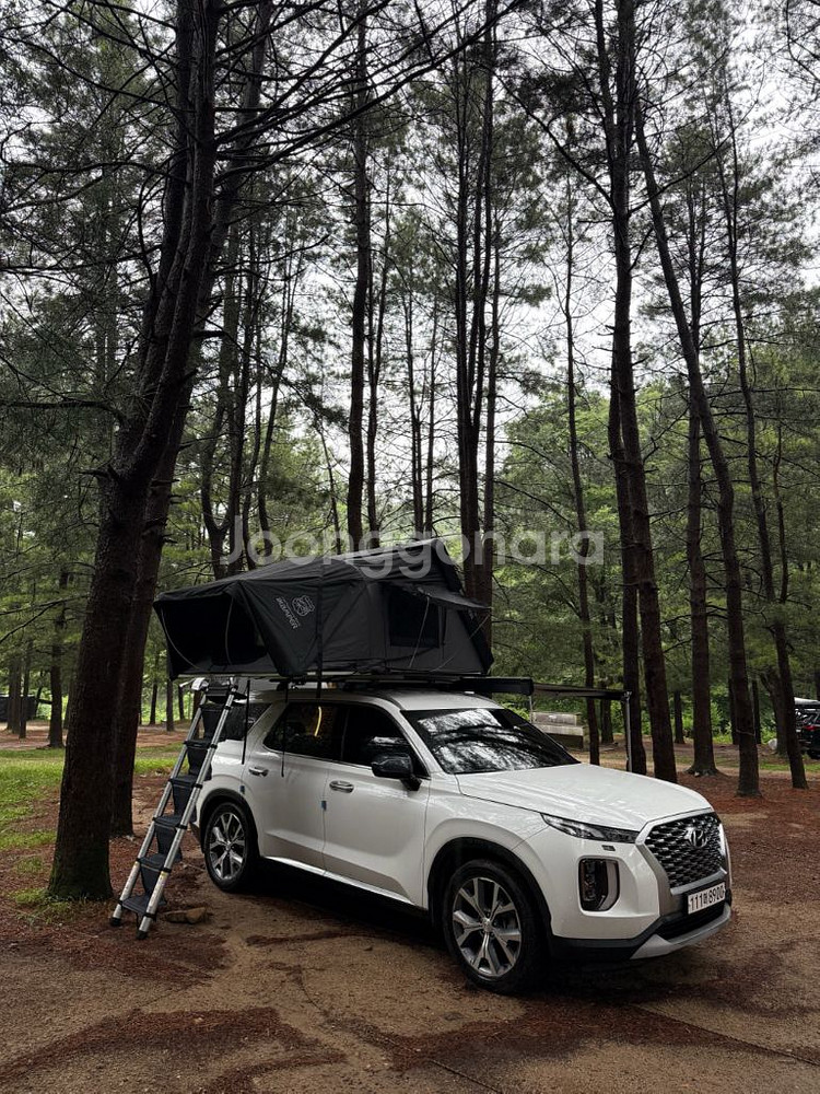 (각개가능)아이캠퍼 스카이캠프3.0 슬림 랩토도장루프탑텐트 &툴레 옴니스터 어닝2.6m--0