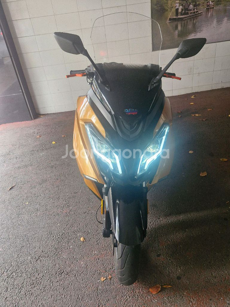 타로 익스플로러300--3