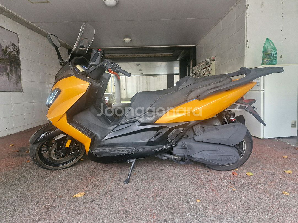 타로 익스플로러300--2