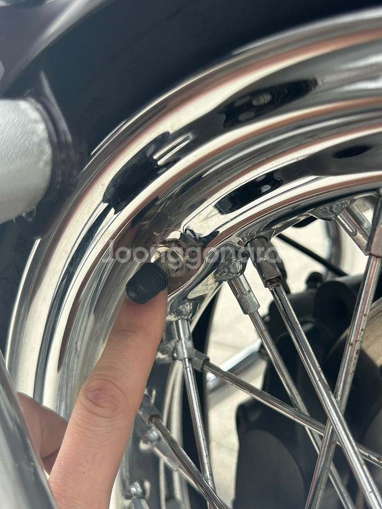 22년 헤리티지 클래식 114 크롬 할리데이비슨 소프테일--9