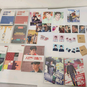 시맨틱에러 시에러 드씨 이미지