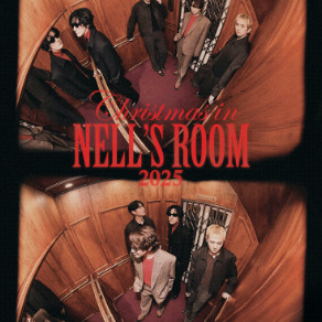 넬 콘서트 양도 2열, 5열 연석 두자리