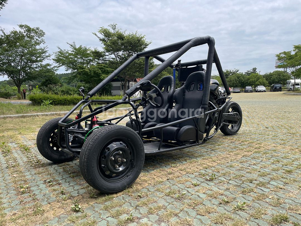 버기카/고카트/UTV/ATV--0