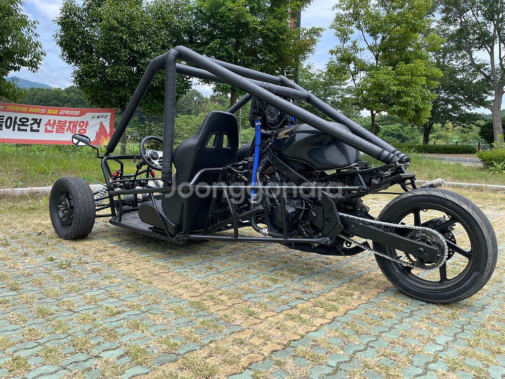 버기카/고카트/UTV/ATV--1