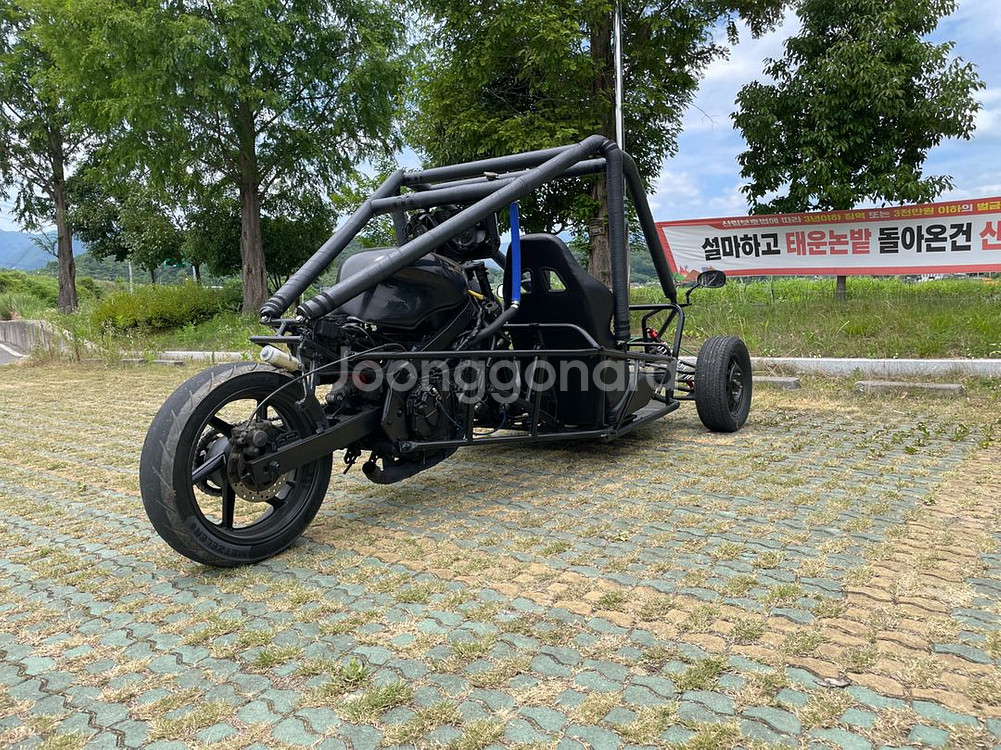 버기카/고카트/UTV/ATV--2