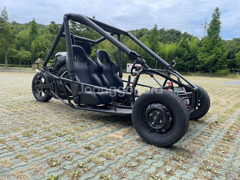 버기카/고카트/UTV/ATV--3