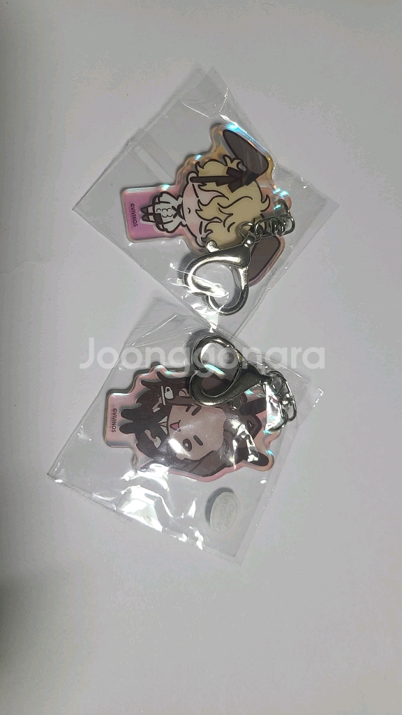 에이스테 바니스테 루카 현아 키링(일괄)--0