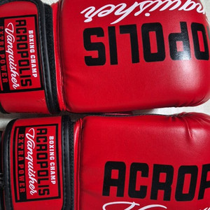 복싱글러브 권투글러브