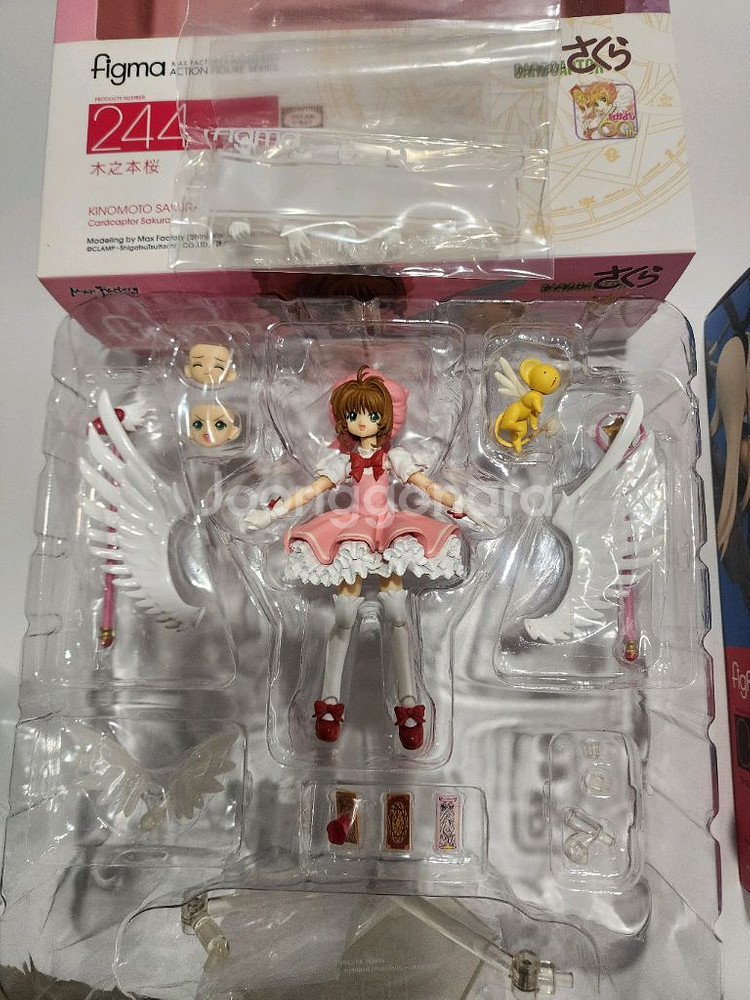 피그마 244 키시모토 사쿠라 판매--1