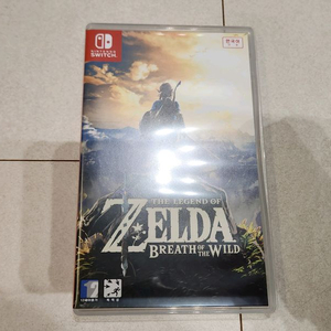 닌텐도스위치 젤다 야숨