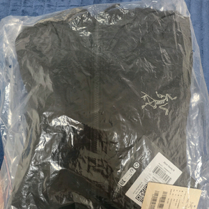 아크테릭스 아톰 후디 블랙 s