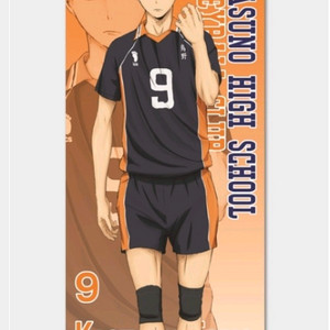 하이큐 카게야마 빅사이즈 태피스트리 팝니다