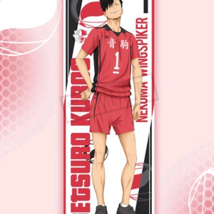 농구 만화 캐릭터 패브릭 포스터 세트