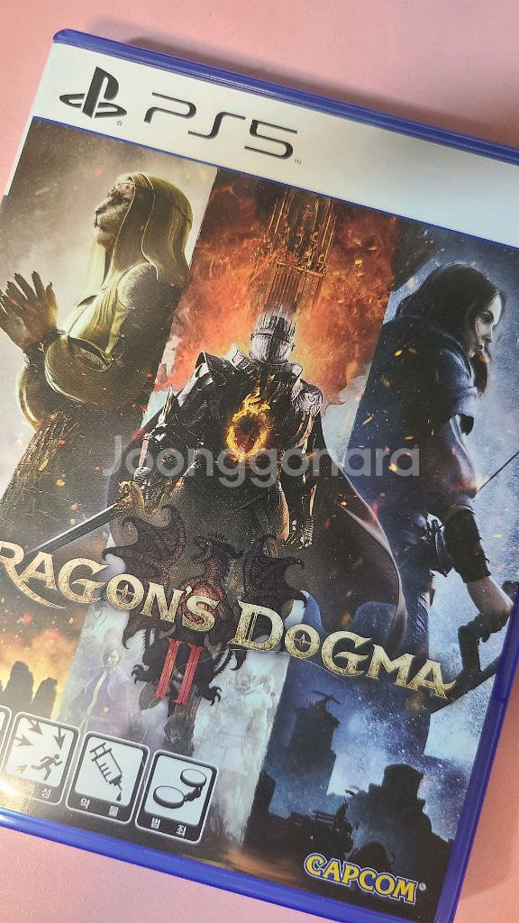 드래곤즈 도그마 2--0